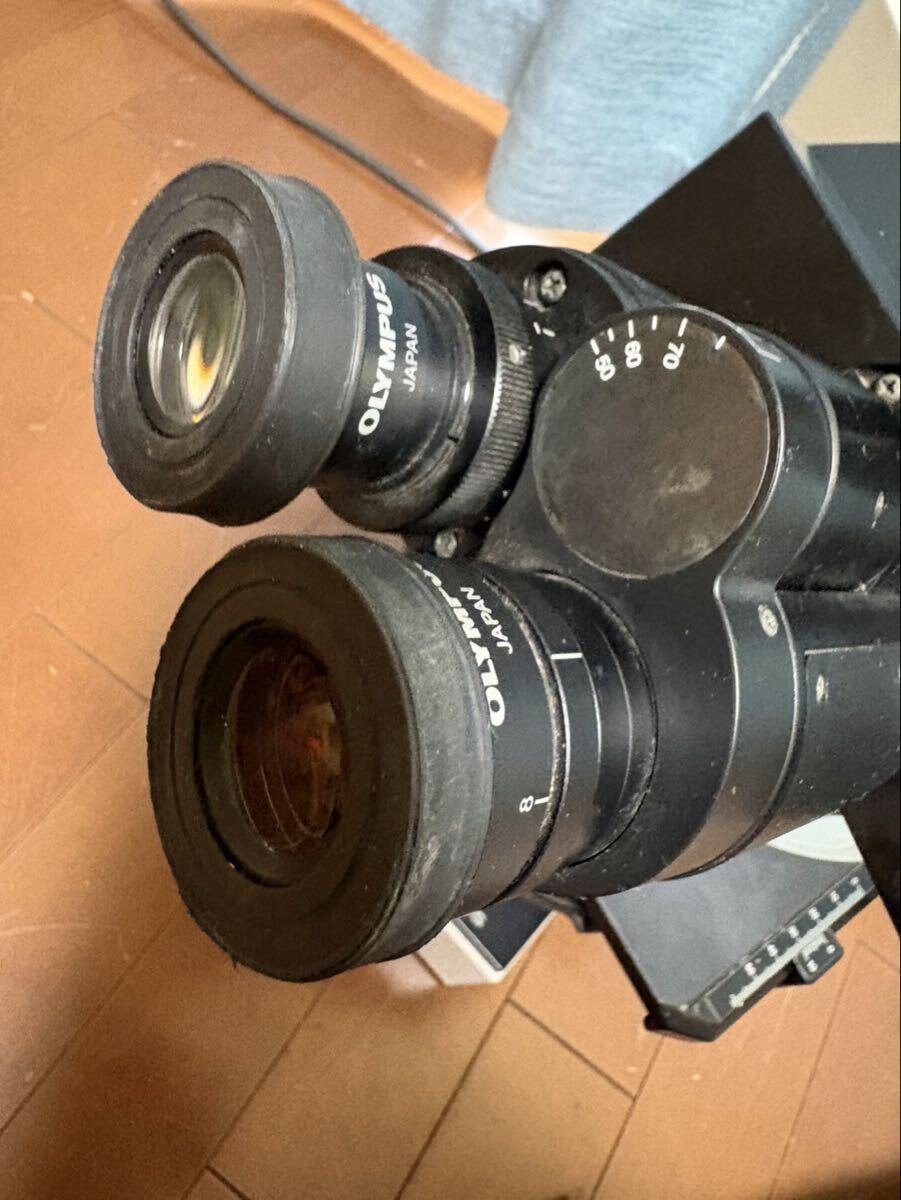 Olympus BX50F Biological Microscope [l1244454178]