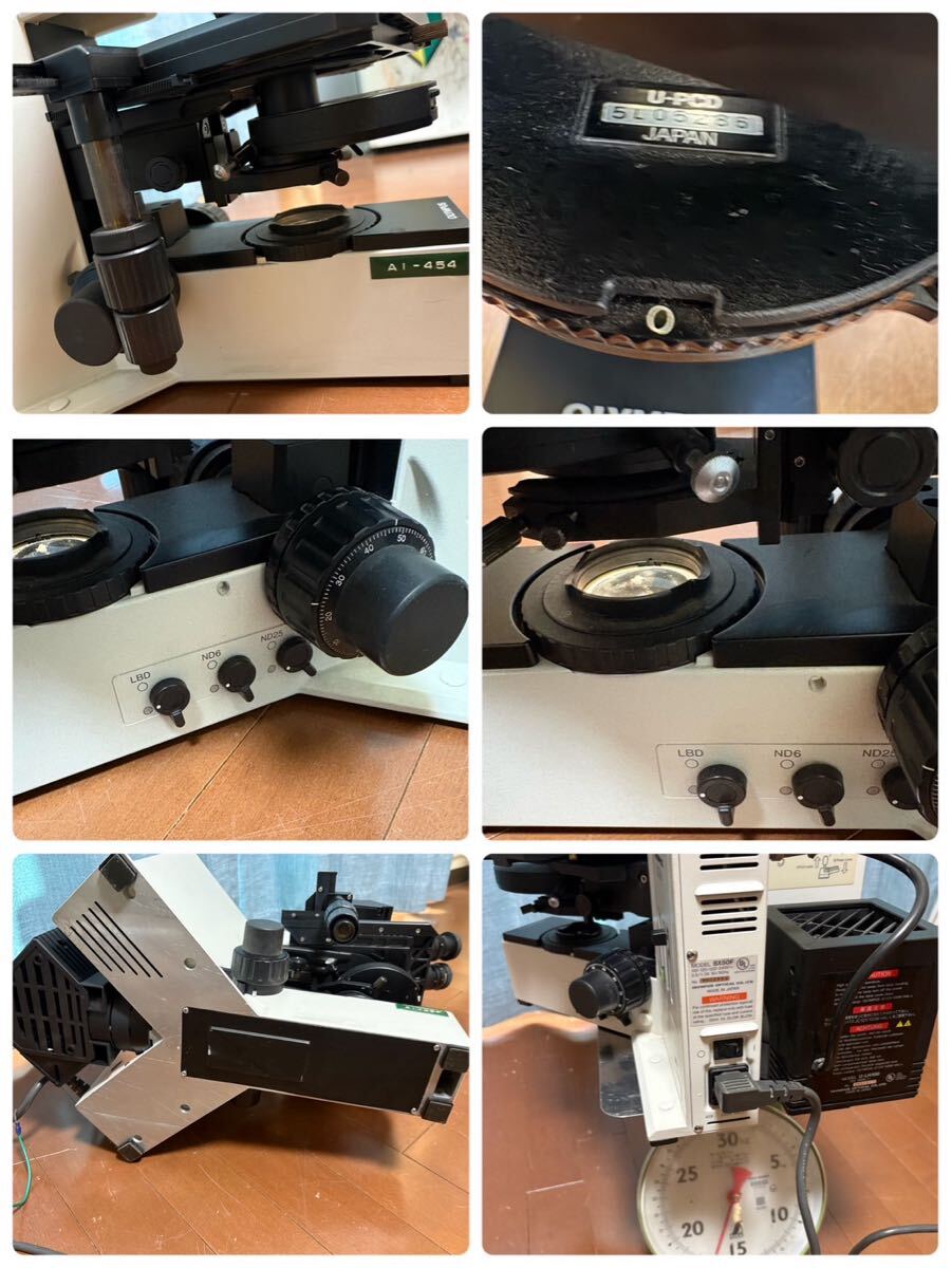 Olympus BX50F Biological Microscope [l1244454178]