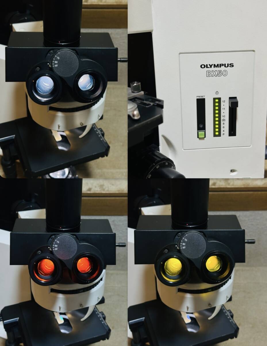 Olympus BX50F System Biological Microscope with PM-DA35DX U-SPT [l1249495523]