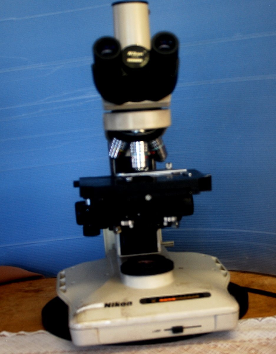 Nikon X2F21ph Phase Contrast Microscope [s1199026589]