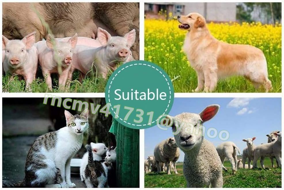 81SHOP Portable B-Ultrasound Scanner Veterinary Ultrasound Scanner Kit [v1119530630]