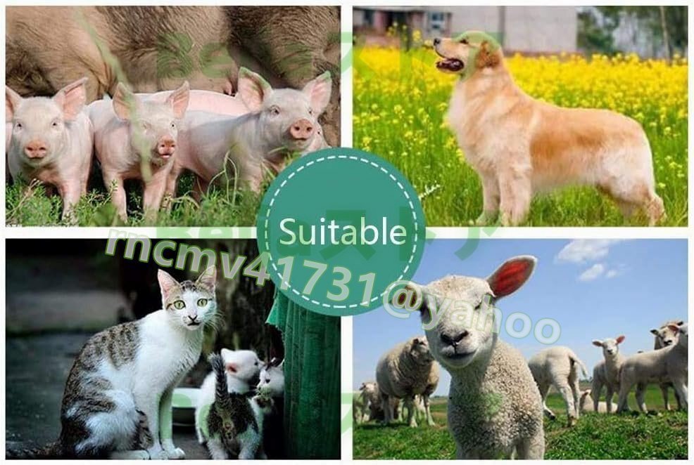 Portable Veterinary Ultrasound Scanner Kit with Two Probe Convex [u1142054293]