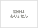 Proceq NR-10 Concrete Test Hammer [q1165441414]